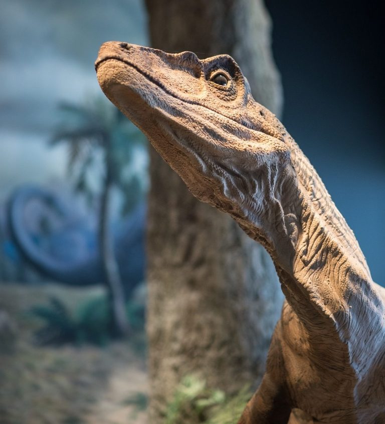 dinosaur, close up, portrait