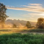 nature, fog, travel, foggy, haze, mist, outdoors, ripple, river, wilderness, woods, woodland, nature, travel, travel, travel, river, river, river, river, river